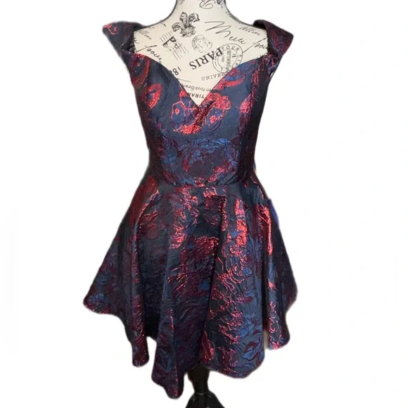 Alyce Paris Metallic Jacquard Fit & Flare Cocktail Dress Size 6 Blue & Red Prom - Picture 3 of 10